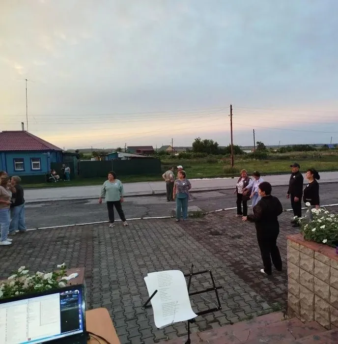 ромашка акция